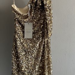 Size 6 Sequence Dress