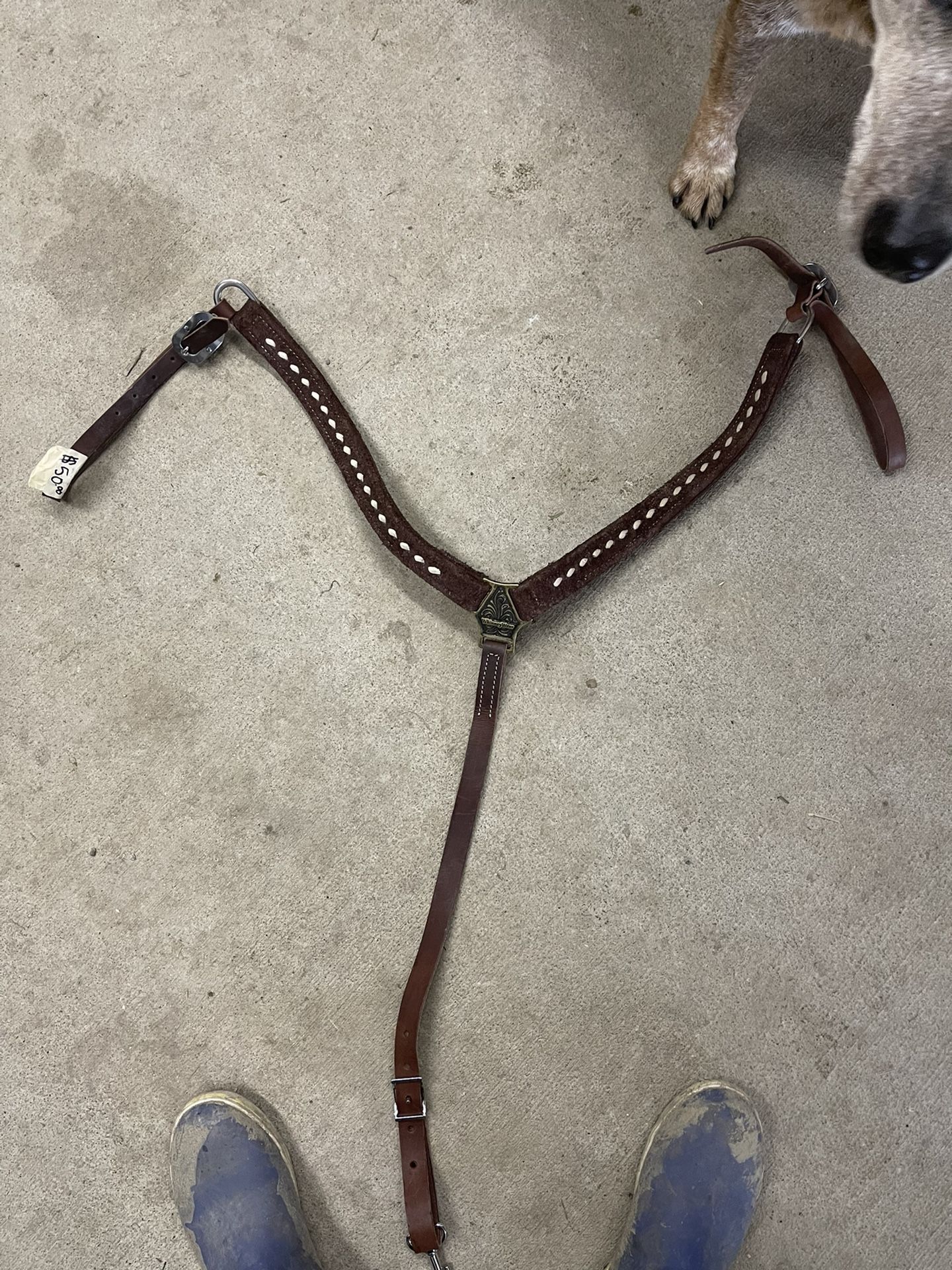 Brand New Whinneywear Breast Collar