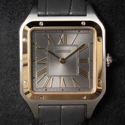 Cartier TT 18k Gold / Steel Santos Dumont Large W2SA0028
