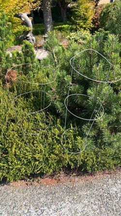 Tomato cages