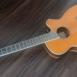 Ibanez Acoustic/Electric Guitar Model: AEG10NⅡ + Soft Carry Case