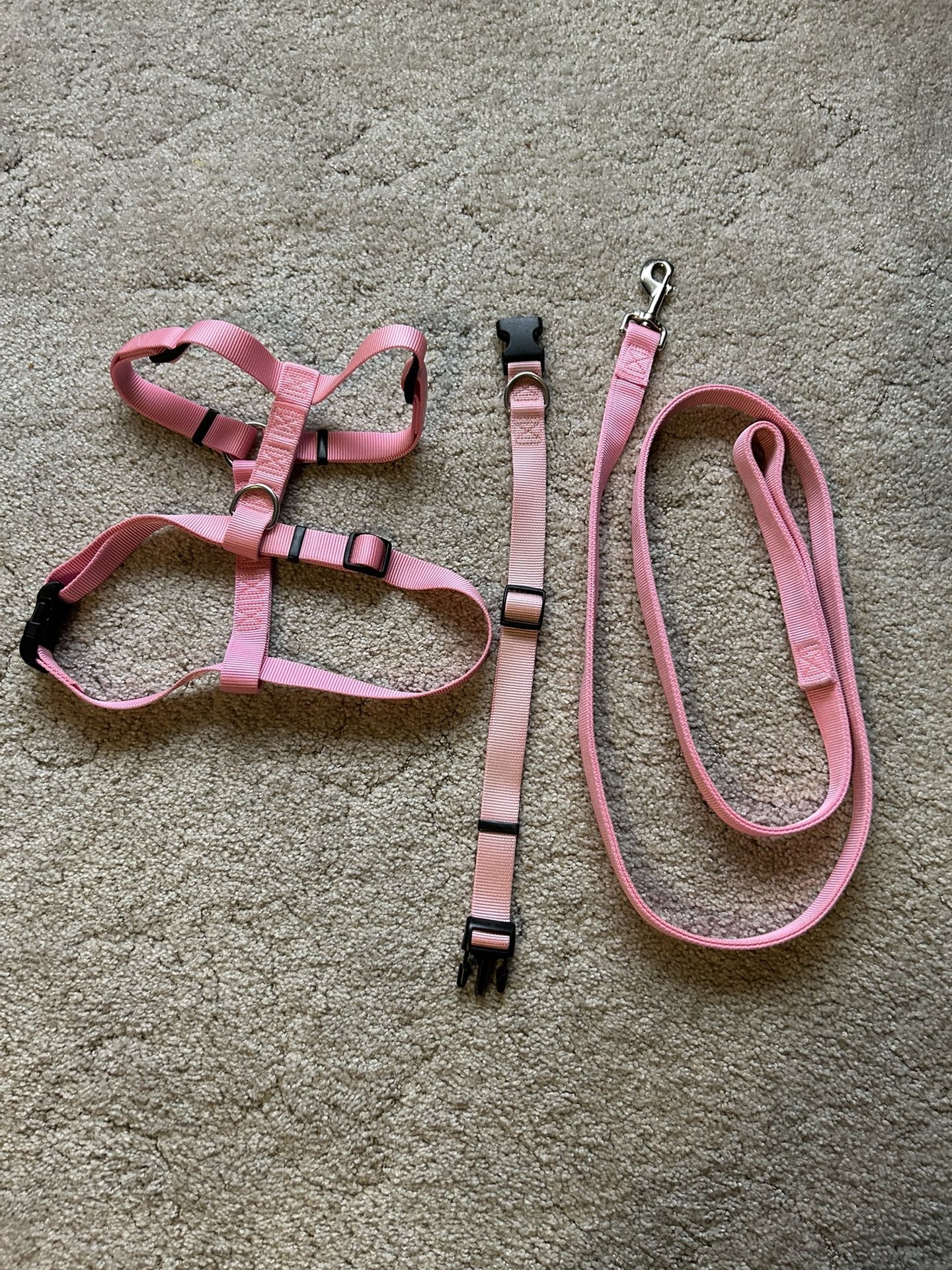 DOG HARNESS AND LEASH