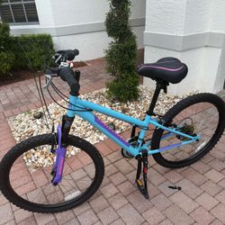 24” Girls Bicycle 