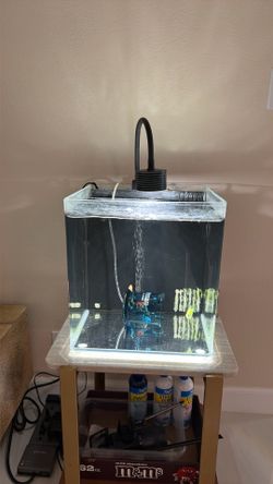 Fish tank all in one 15 gallon, Japan