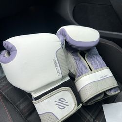 Sanabul Boxing Gloves