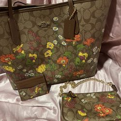 Raya Collection Coach 