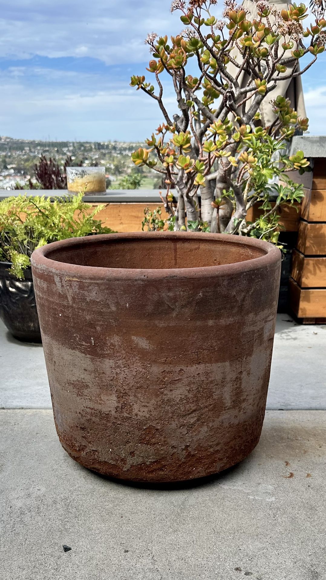 Large 16” Terracotta Clay Pot