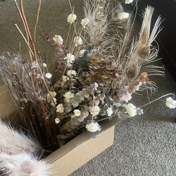 Pampas, Branches, and Florals