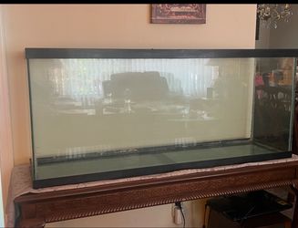 Fish Tank Extra Large 75 Gallon in excellent condition glass