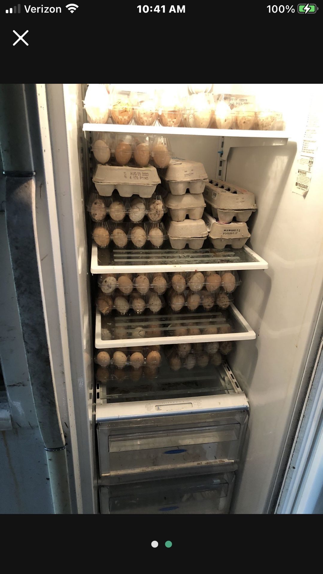 Eggs Fresh