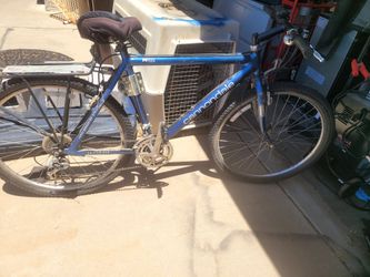 Adult bikes