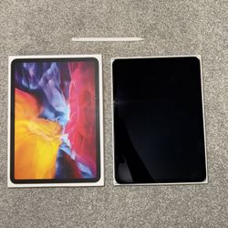 iPad (with Apple pencil)