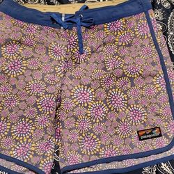 Patagonia Swimshorts