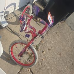 girl next bicycle 20in 