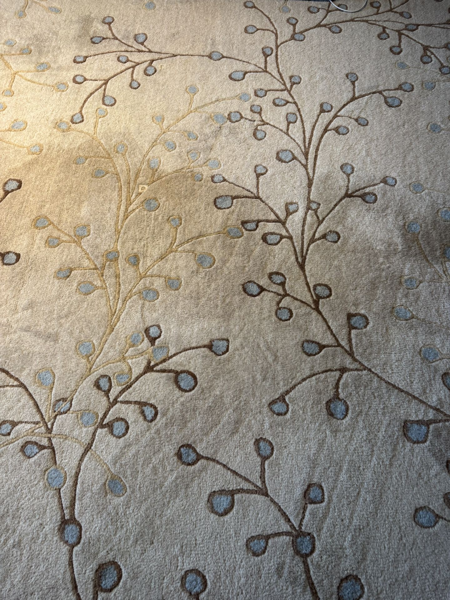 Rug For Free