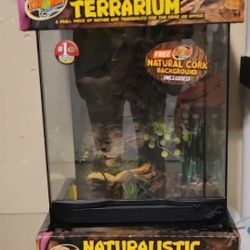 Zoomed Naturalistic Terrarium