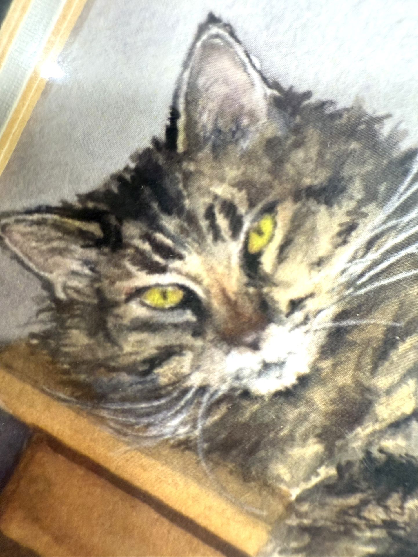 Sweet Fluffy Tabby Cat on Bookshelf Artist Signed Watercolor- Double Matted and Ready to Pop into 8”x 10” Frame