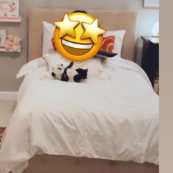 Twin Bed Frame 