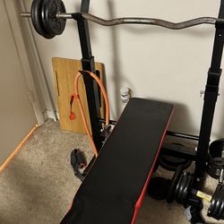 Home Weight Bench With 2 Curls Bars , 4 dumbbells &  Various Weights