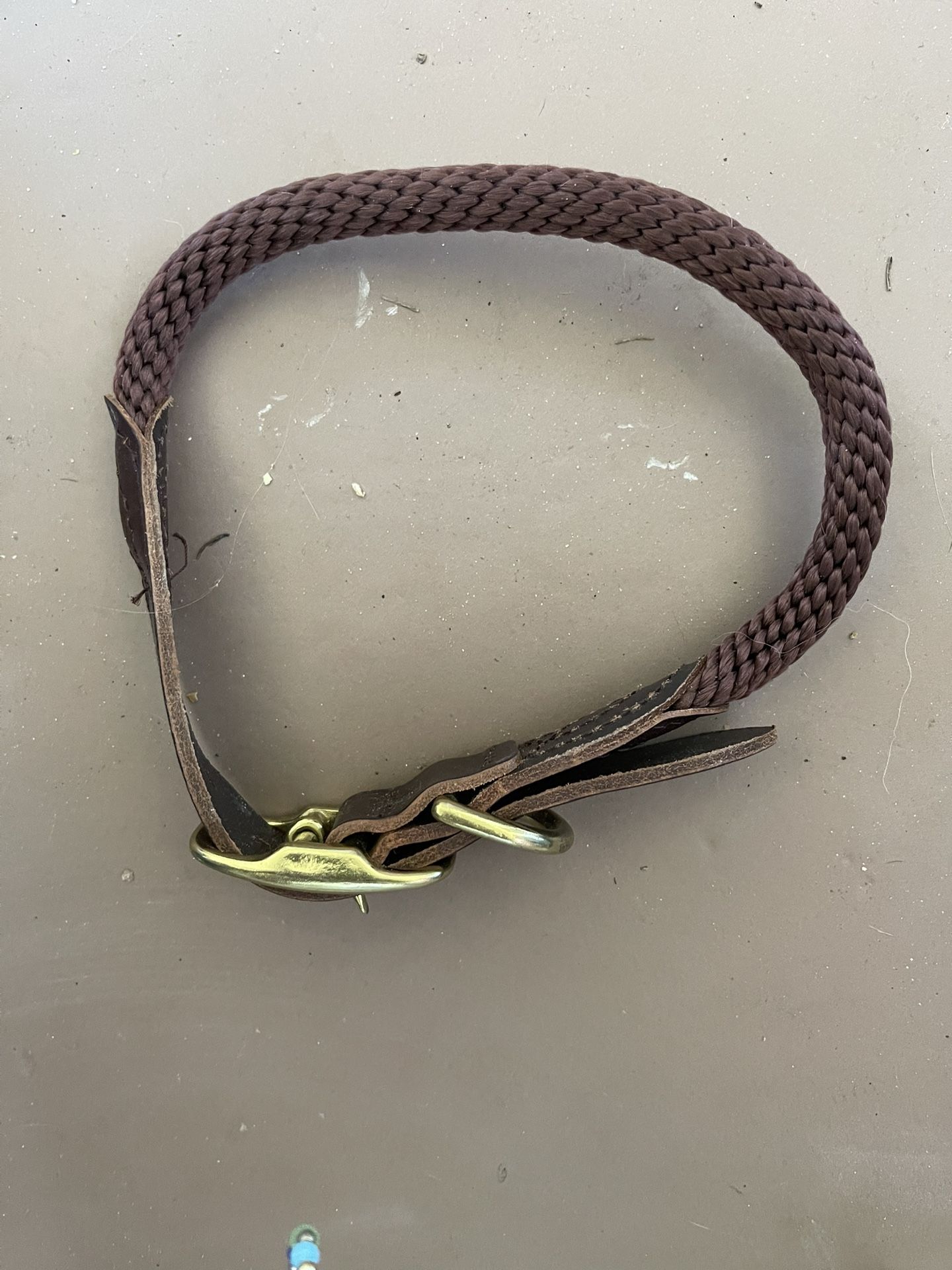 Med/large AKC Collar Never Used