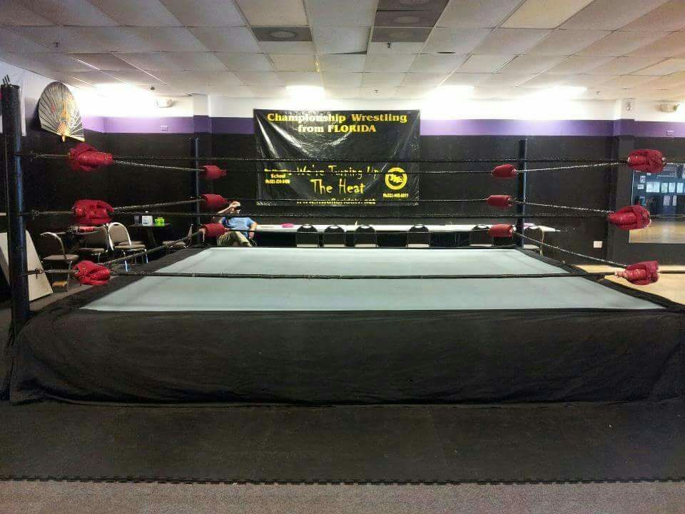 16x16 pro wrestling ring