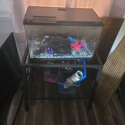Fish Tank
