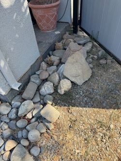 Free rock