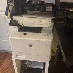 HP Color Printer 