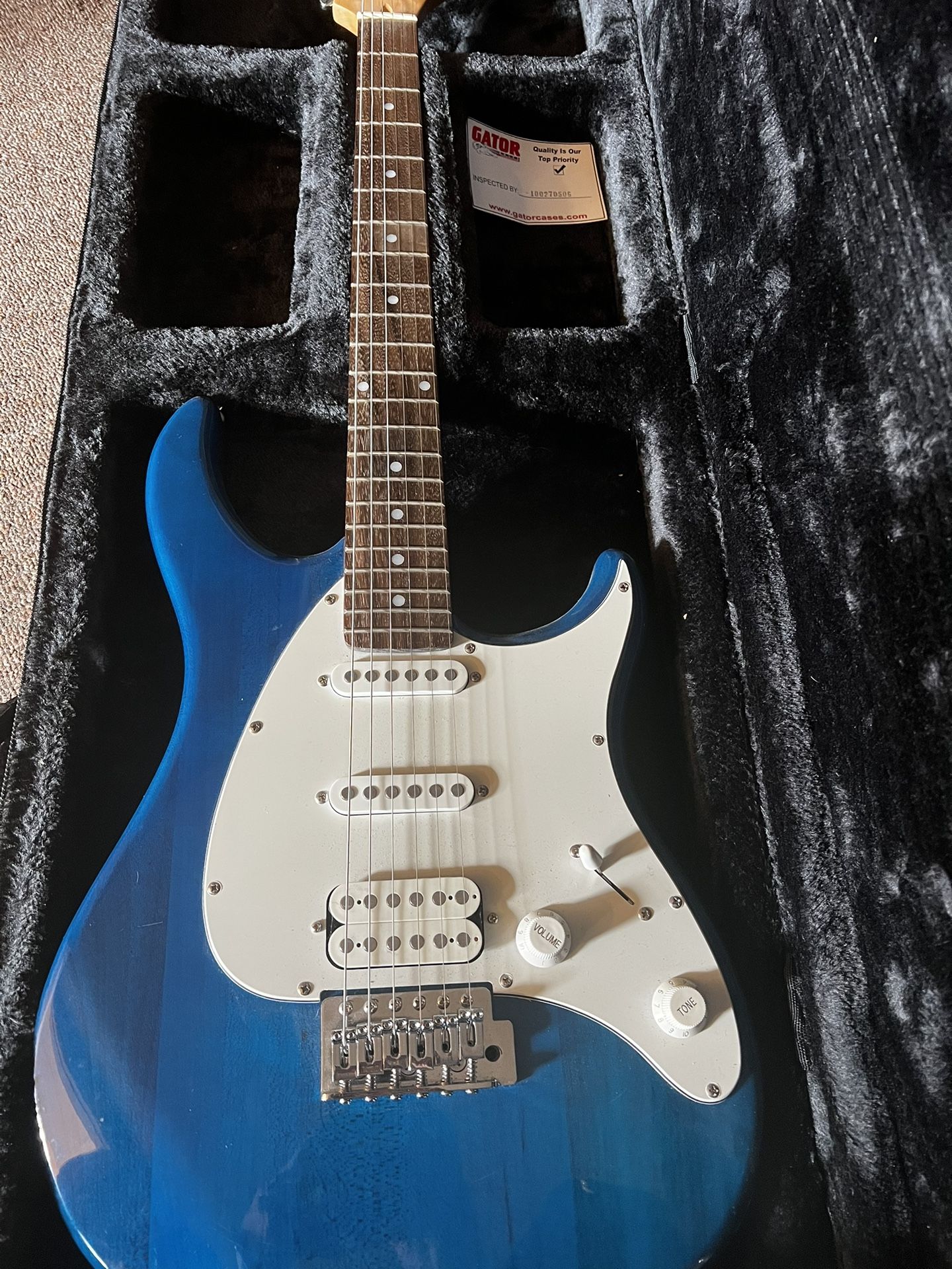 Peavey Raptor Plus Exp Electric Guitar