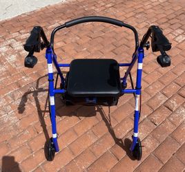 Adult Walker Chair