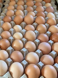 Farm fresh eggs