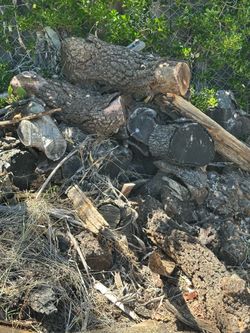 Wood logs 🪵 and Scraps - FREE