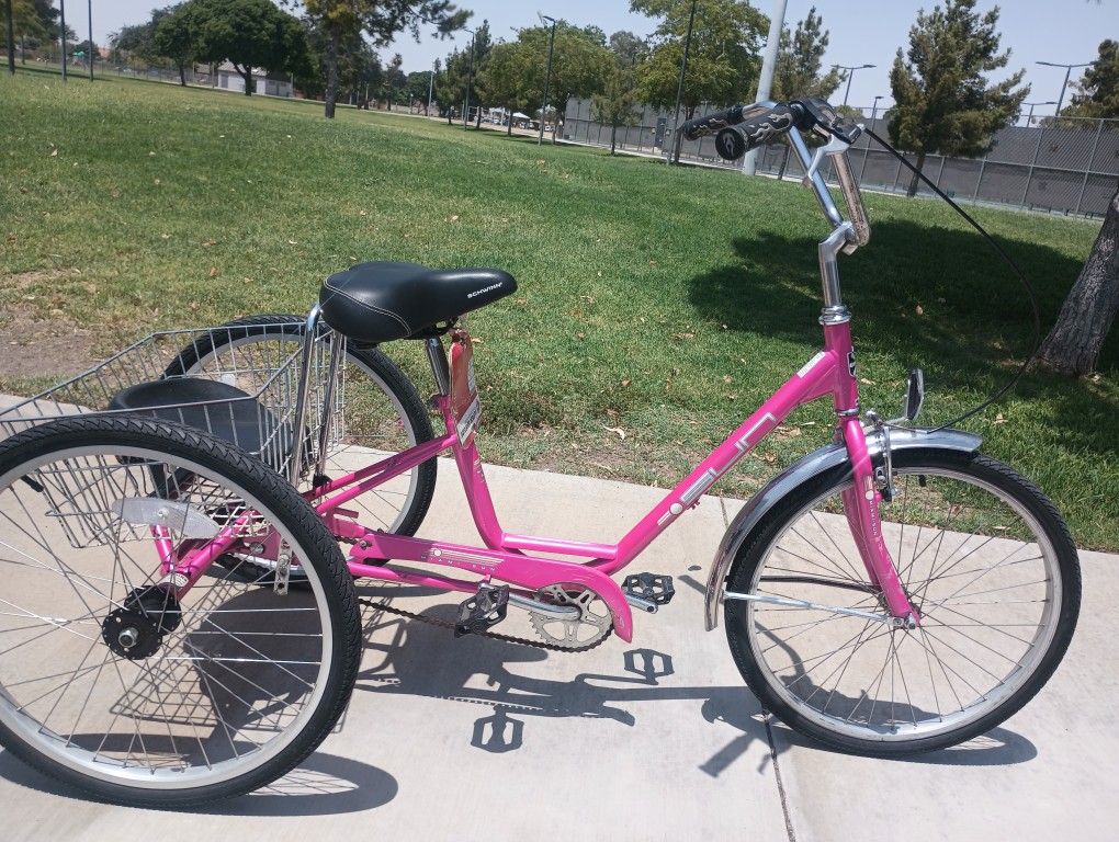 Adult Tricycle Miami Sun