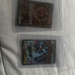 Pokemon charziard and Oricorio