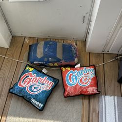 Jeff Gordon Nascar Pillows