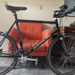  Quintana Roo Te Quilo - Sweet Triathlon/road Bike