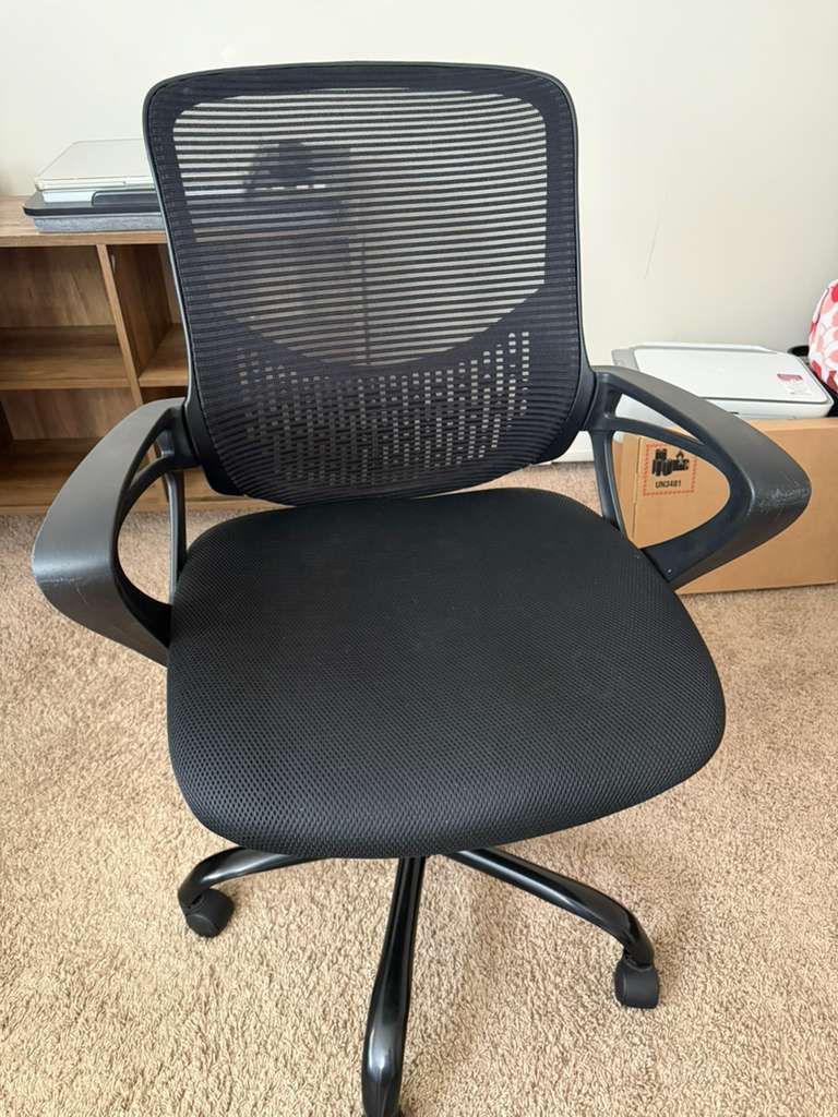Computer Chair (Smug)