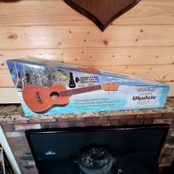 ukulele 