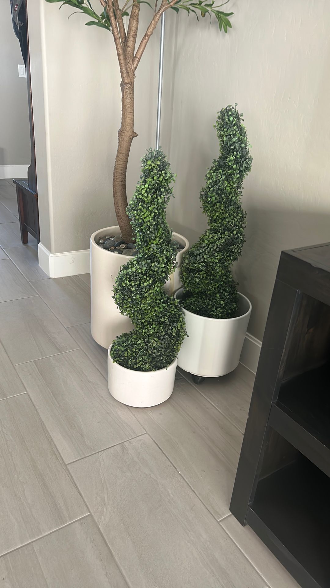 3 Ft. Topiary Set ( Lot Of 2) $80