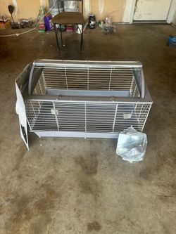 Full cheeks start up dream home guinea pig starter kit