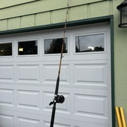 Shakespeare ugly stick fishing rod and pen 330 real combo with braided line both in good shape and ready to catch Sturgeon or bottom fish.   $70, cash
