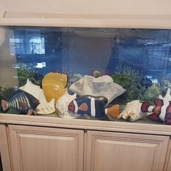 55 Gallon Fish Tank with matching cabinet 