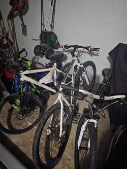 Mountain Bikes