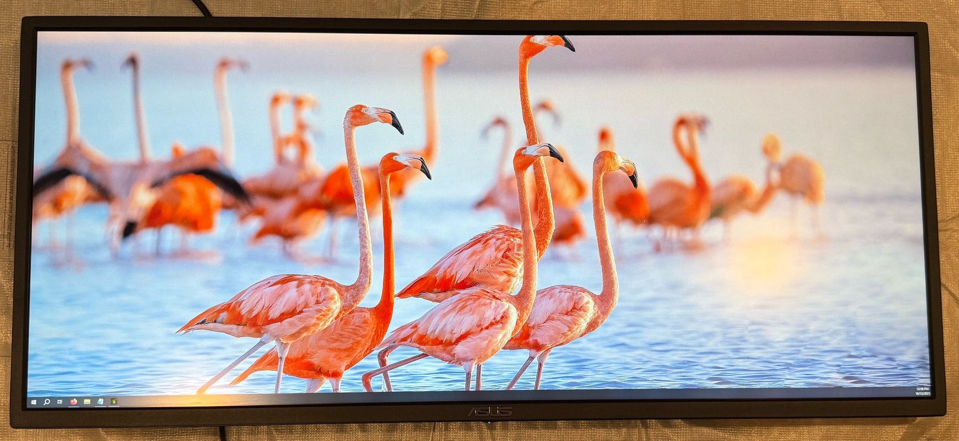 ASUS VP348 34" PC Monitor Screen