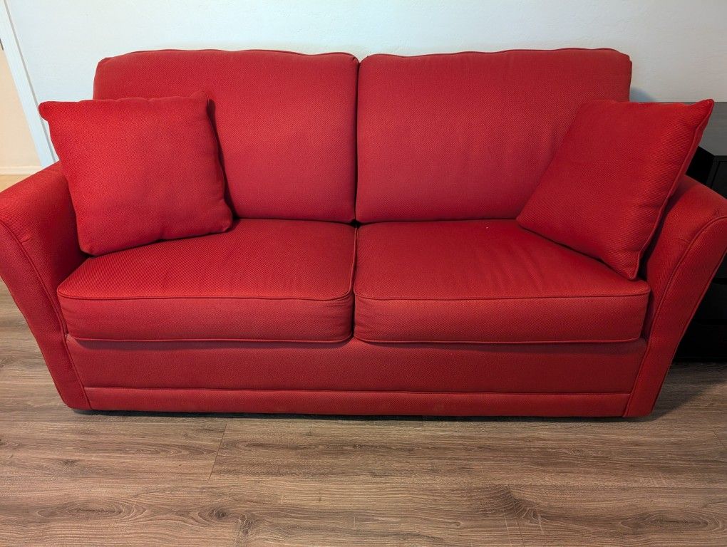 Couch w/ pull out bed