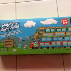 Magnetic Sorting Set 