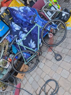 Fixed Gear