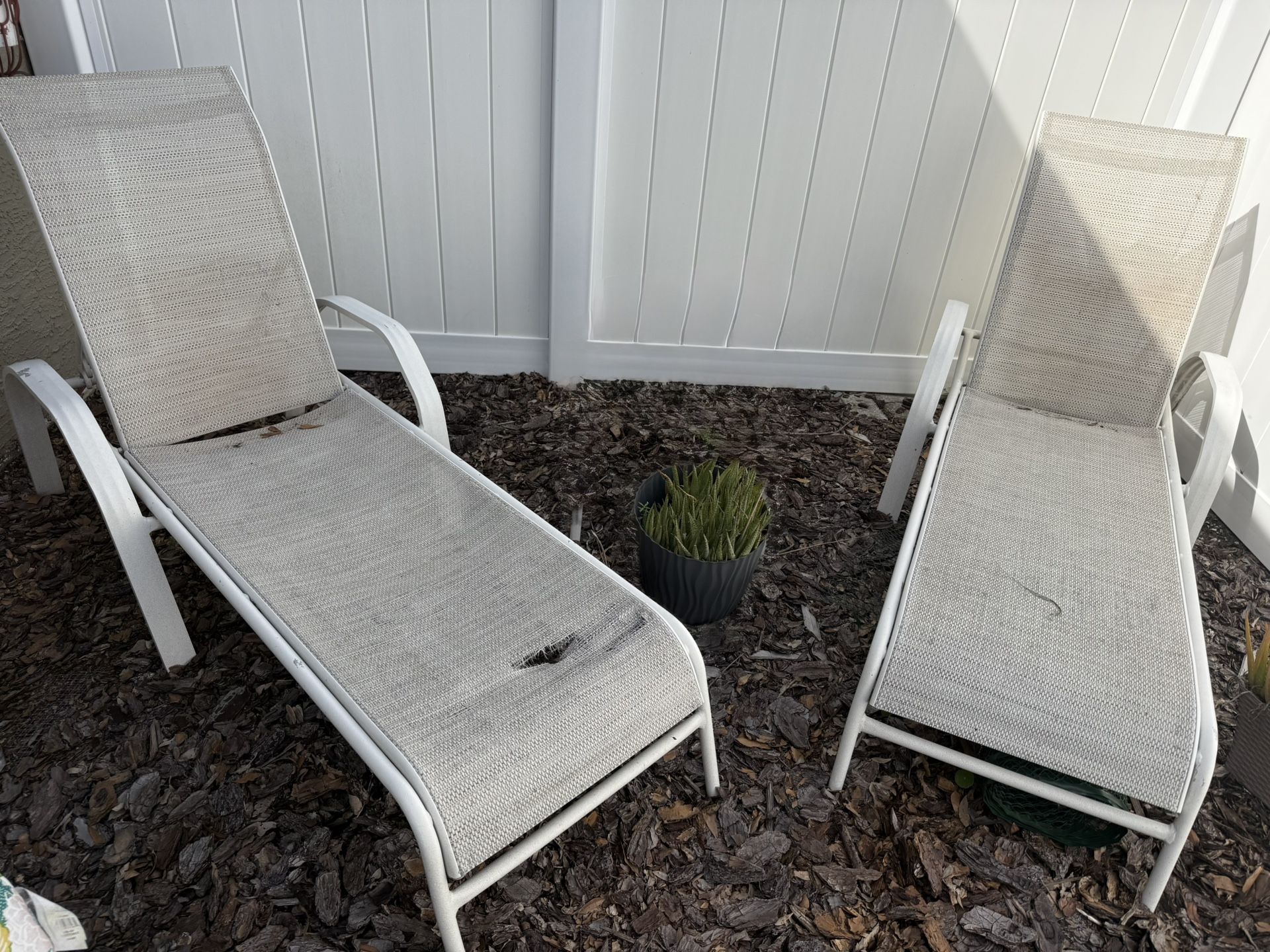 Free 2 LOUNGE CHAIRS