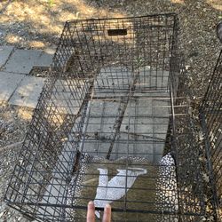 Dog Cage (Big Dog)