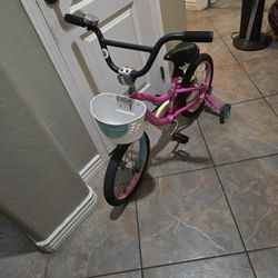 Schwinn 16 Inch Training Bike